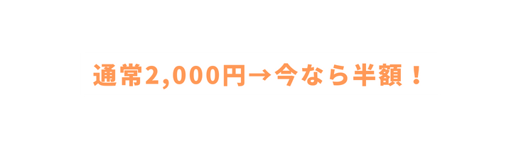 通常2 000円 今なら半額